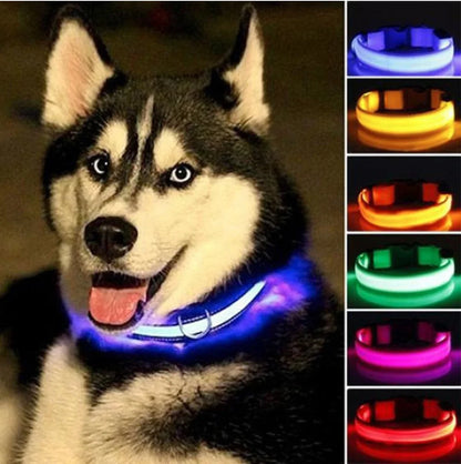 Glow In The Dark Dog Collar